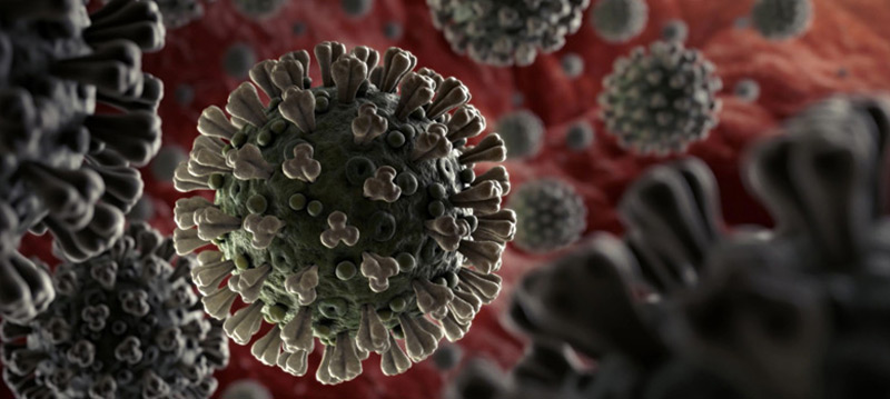 graphical representation of the novel coronavirus